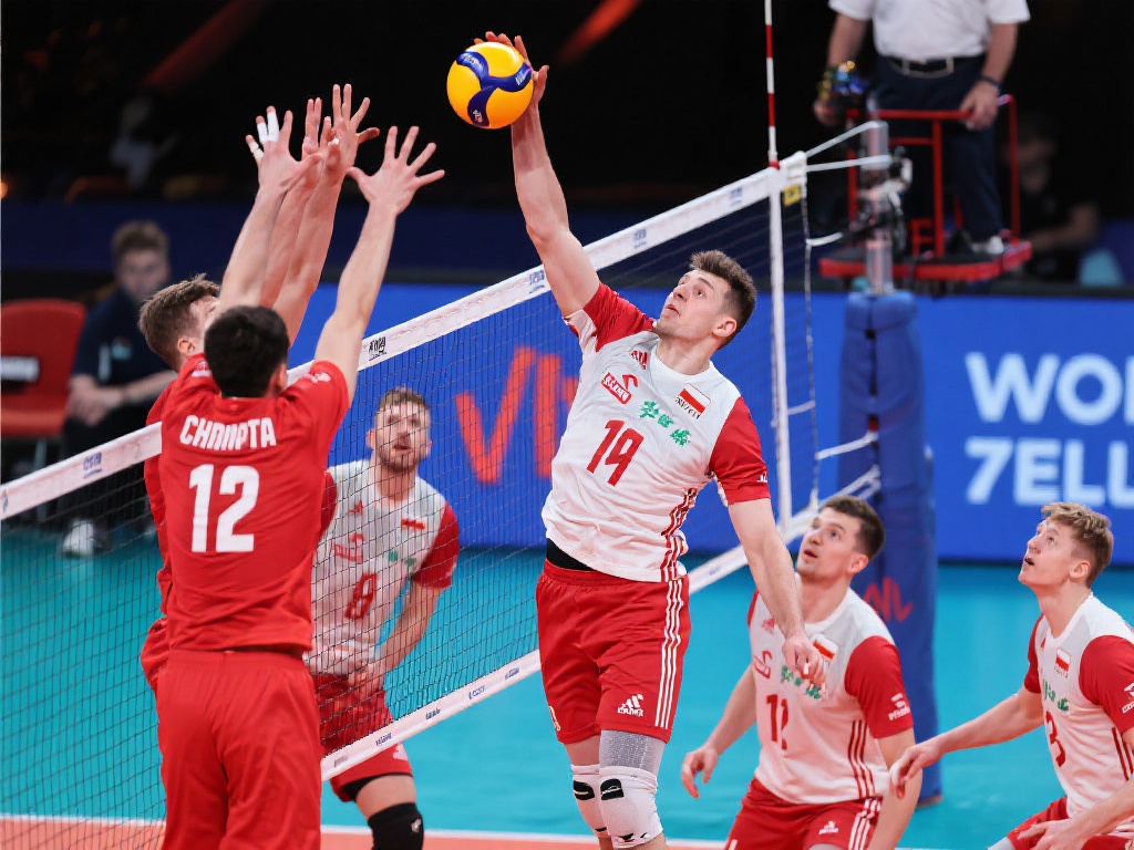 也为未来的 也为未来的